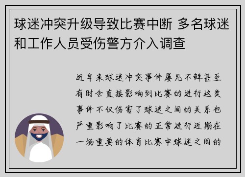 球迷冲突升级导致比赛中断 多名球迷和工作人员受伤警方介入调查
