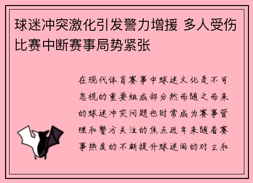 球迷冲突激化引发警力增援 多人受伤比赛中断赛事局势紧张