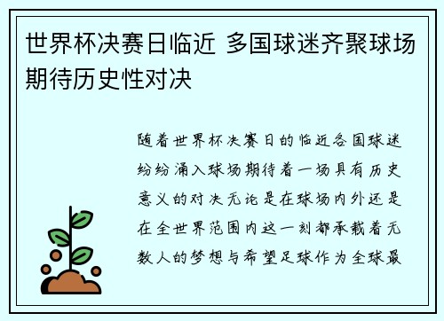 世界杯决赛日临近 多国球迷齐聚球场期待历史性对决